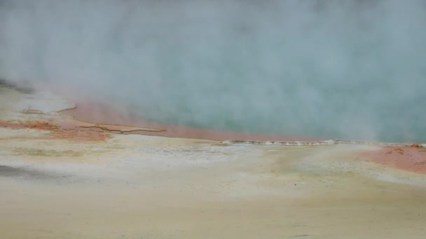 Panning Tiro Piscina Champanhe Fervente Zona Activa Vulcânica Wai Tapu — Vídeo de Stock