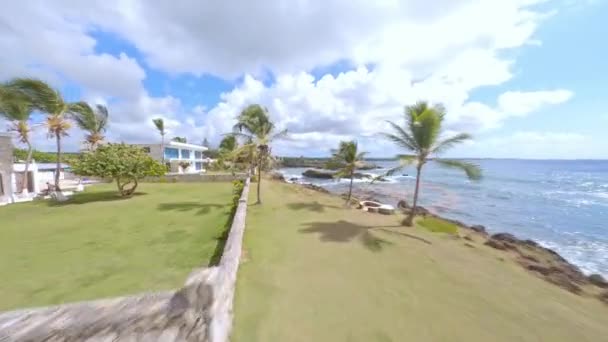 도미니카 공화국에 보카데 해안을 구름낀 장관을 이루는 야자나무 바다를 조망하고 — 비디오