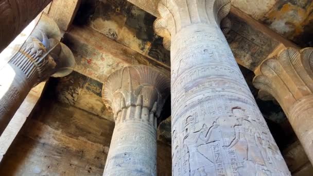 Oude Egyptische Pilaren Ingegraveerd Met Hiëroglief Tempel Van Kom Ombo — Stockvideo