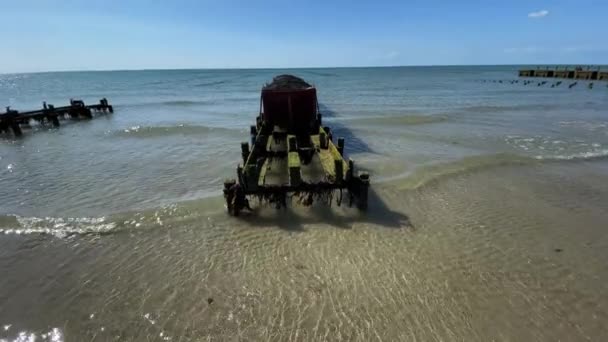 Drewniane Szczudła Zbioru Małży Ostryg Oceanicznym Wybrzeżu Plaży Czysta Woda — Wideo stockowe