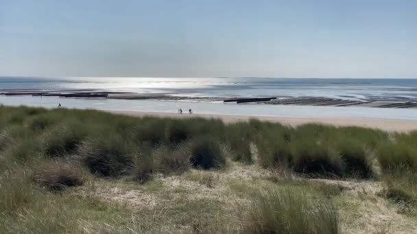 Panorama Largo Litoral Praia Plana Arbustos Primeiro Plano Turistas Bicicleta — Vídeo de Stock