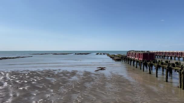 Oyster Mussel Agricultural Harveting Farm Ocean Beach Coast Brehal Granville — Vídeo de Stock