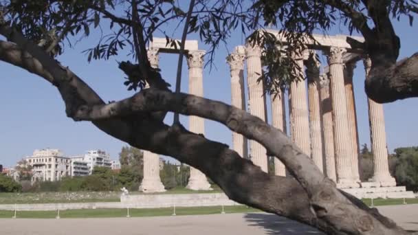 Forntida Grekiska Ruiner Joniska Kolonner Bland Naturen Centrala Aten Grekland — Stockvideo
