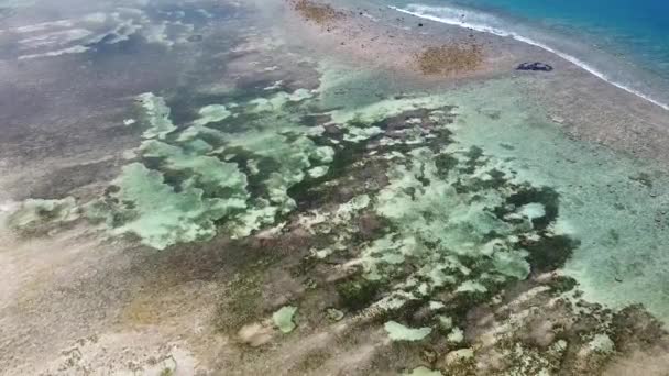 東チモール 東南アジアの遠隔熱帯の島にあるサンゴ礁 砂州の美しい自然パターンと透明な水で干潮時に海に向かって降下する空中ドローン — ストック動画