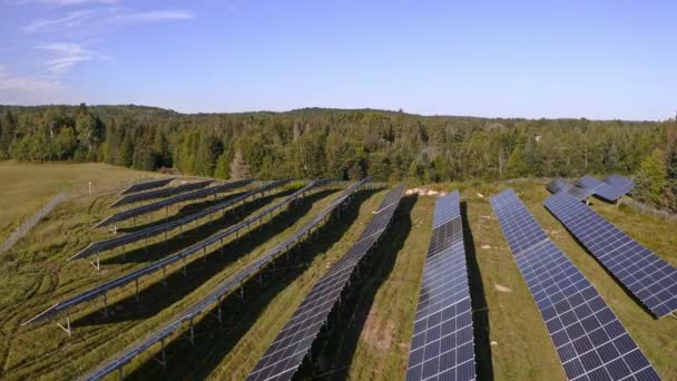 Solar Panels Rows Next Green Field Forest Canada — Stock Video