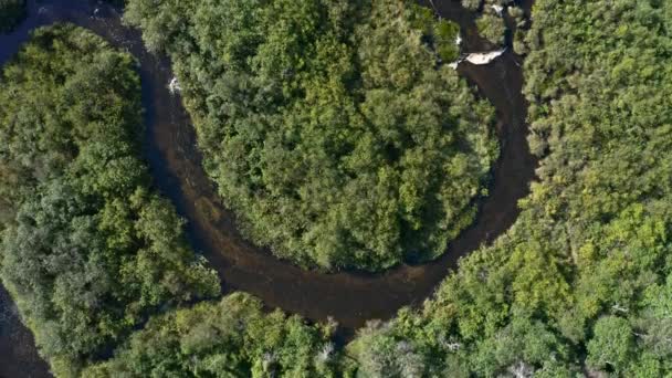 Drone Aérien Une Rivière Sinueuse Traversant Une Forêt Verte Ontario — Video