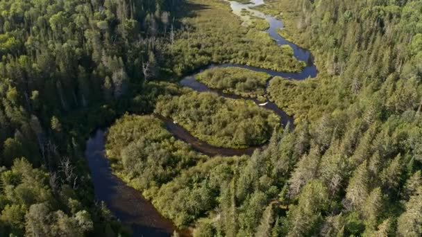 Drone Video Siguiendo Serpenteante Río Sinuoso Ontario Canadá Naturaleza — Vídeos de Stock