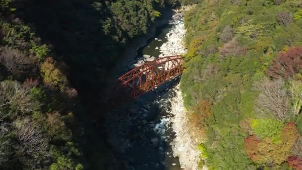 Ponte Abandonada Sobre Rio Muko Longo Caminhada Ferroviária Fukuchiyama Vista — Vídeo de Stock