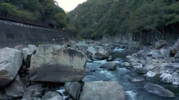 Escursione Ferroviaria Mukogawa Fukuchiyama Abbandonata Hyogo Giappone — Video Stock