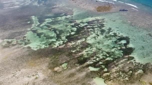 Drone Aéreo Subindo Sobre Água Cristalina Maré Baixa Remoto Idílico — Vídeo de Stock