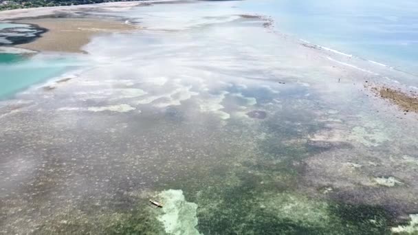 在热带岛屿的天堂 空中无人驾驶飞机在令人惊艳的海洋上空倒转 在低潮的珊瑚礁和沙洲上有晶莹清澈的海水 — 图库视频影像