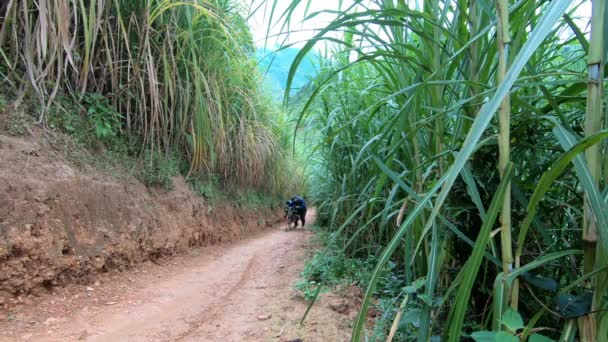 Cao Bang Vietnam Bir Dağ Yolunda Seyahat Eden Iki Bisikletçi — Stok video