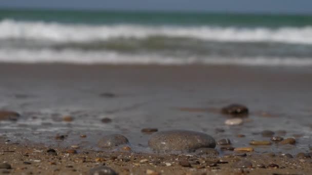 Pebbles Stranden Med Arabiska Havsvågor Kraschar Bakgrunden Förgrundsfokus — Stockvideo