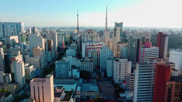 素晴らしい天気の日に世界第4位の都市 ブラジルのサンパウロ 何千もの建物がある街のスカイライン — ストック動画