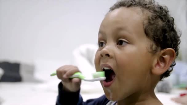Chłopiec Myje Zęby Szczoteczką Zębów Domu Stock Video — Wideo stockowe