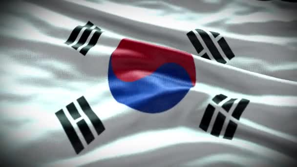 Südkorea Flagge Video Südkorea Flagge Südkorea Flagge Schwenken Video — Stockvideo