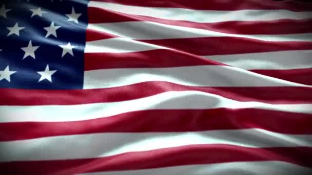 アメリカ国旗ビデオ 3Dアメリカ国旗 3Dアメリカ国旗ビデオを振って — ストック動画