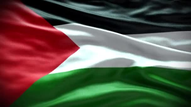 Palestina Bandeira Vídeo Palestina Bandeira Palestina Bandeira Acenando Vídeo — Vídeo de Stock