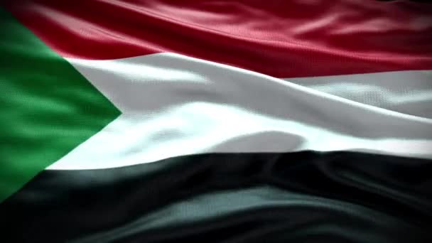 Sudan Flagge Video Sudan Flagge Sudan Flagge Schwenken Video — Stockvideo