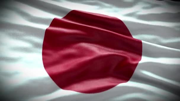 Japonsko Vlajka Video Japonsko Vlajka 3Djaponsko Vlajka Mávání Videa — Stock video