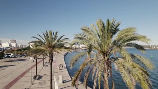 Luchtfoto Parallax Van Weelderige Palmbomen Onthullen Prachtige Promenade Rivieroever Portimo — Stockvideo
