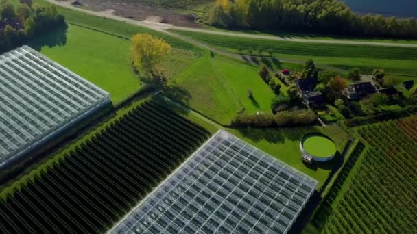 空中无人驾驶飞机俯瞰着绿屋 展现了荷兰 欧洲美丽的水景 — 图库视频影像