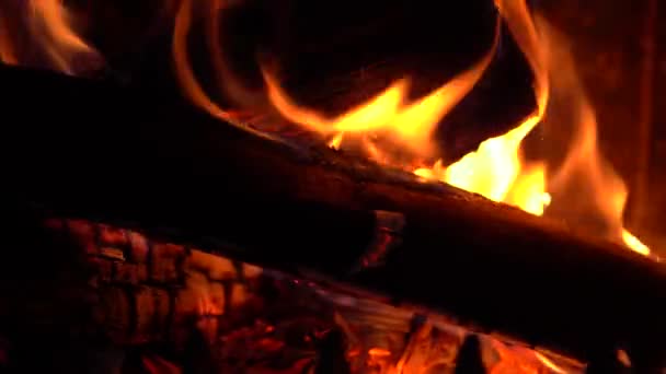 Cheminée Flamboyante Avec Des Bois Brûlants Sur Une Saison Hiver — Video