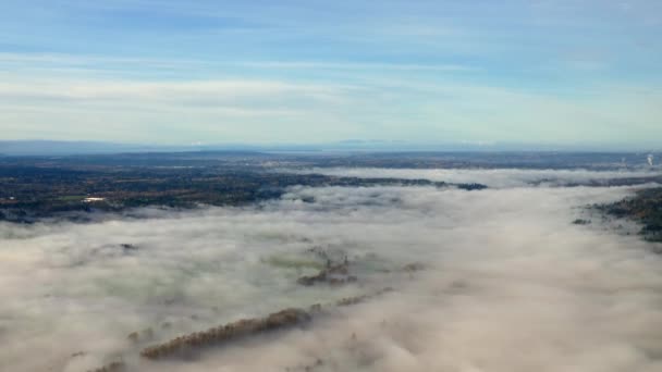 Vista Aérea Nuvens Baixas Nevoeiro Sobre Montanha Floresta Colúmbia Britânica — Vídeo de Stock