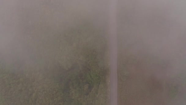 Drone Survolant Des Nuages Roulants Sur Col Montagne Forêt Aérien — Video