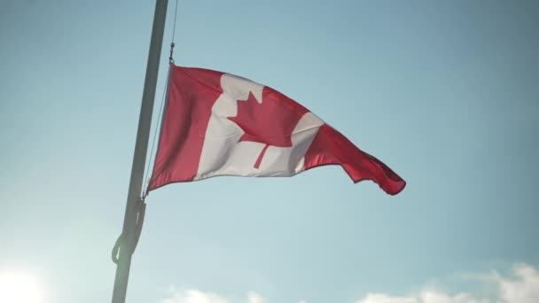 Канадский Флаг Полу Мачте Хлопающий Супер Медленном Движении — стоковое видео