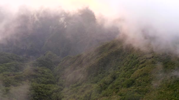 Portekiz Deki Madeira Adasının Dağlarındaki Yemyeşil Orman Üzerinde Beyaz Bulutlar — Stok video