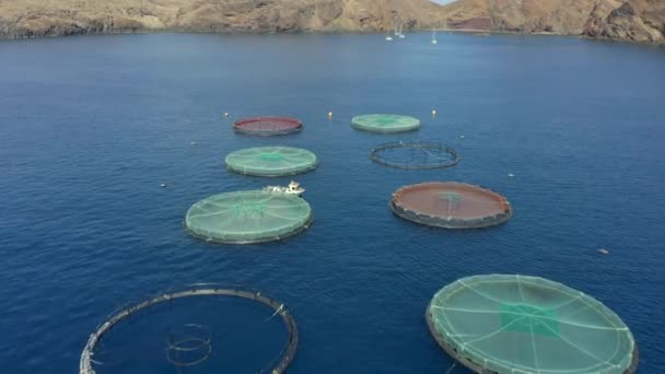 Aerial View Fish Cages Fish Farm North Atlantic Ocean Madeira — Stock Video