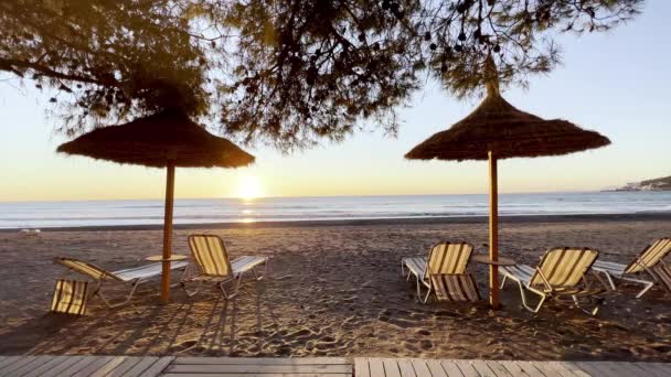 Paraplyer Stranden Längs Adriatiska Havskusten Albania Vid Shengjin Albania — Stockvideo