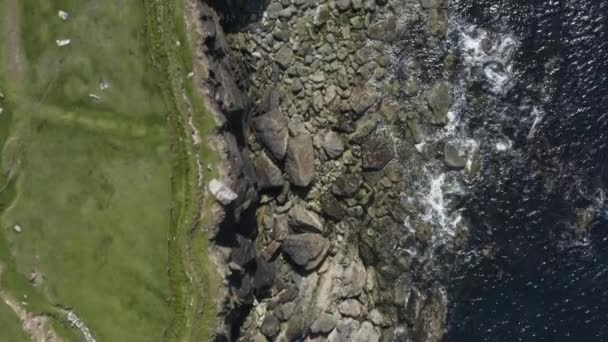 Aerial Sziklák Zöld Dombok Dingle Kerry Megye Írország Előre Felülről — Stock videók