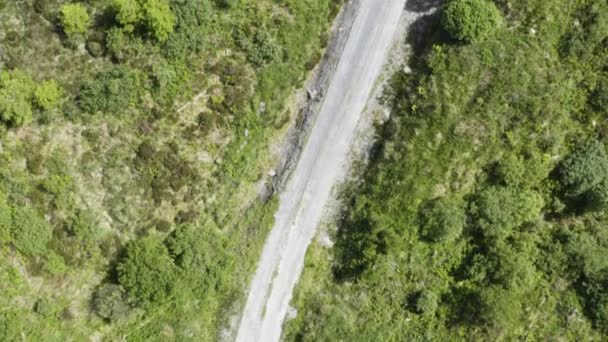 Aerial Kręta Droga Farmie Drzew Niedaleko Galway Irlandia Góry Dołu — Wideo stockowe