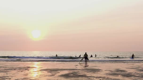 Szörfözés Szörfdeszkákkal Megy Tengerhez Sandy Beach Alatt Naplemente — Stock videók