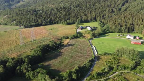 Hoogspanningsleidingen Van Massieve Masten Boven Weelderige Landbouwgrond Noorwegen Zonnige Avondantenne — Stockvideo