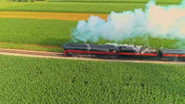 在夏初的早晨 农场的空中景观和一个古老的蒸汽机喷出了大量的烟雾和蒸汽机 — 图库视频影像