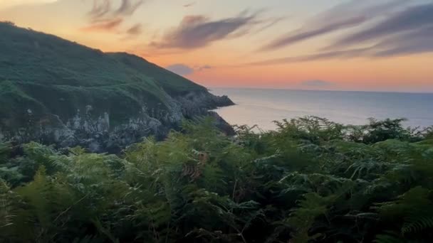 緑の丘の海岸に沿って日没の間にオレンジ色の空 植物の前の滑らかなパン — ストック動画