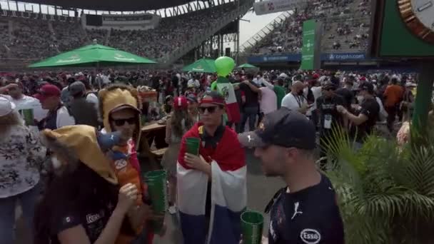 Hollandalı Taraftarlar Idolleri Max Verstappen Destekliyor Bayraklar Takıyor Mexico City — Stok video