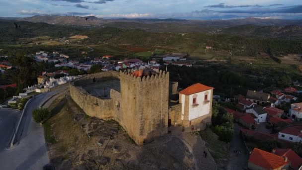 Drone Captura Bando Pássaros Voando Através Torre Castelo Belmonte Enquanto — Vídeo de Stock