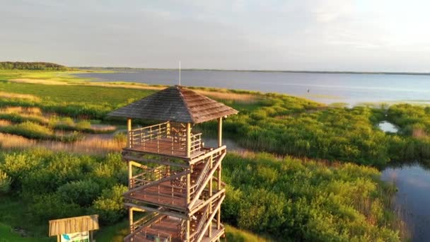 Golden Sunrise Rustieke Vogels Verbergen Uitkijktoren Idyllische Wetland Wildernis — Stockvideo