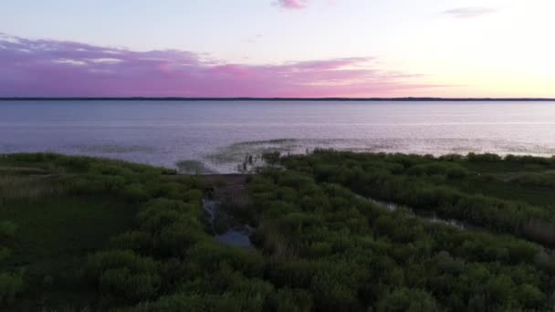 Zone Humide Marais Littoral Vue Aérienne Survolant Océan Calme Tranquille — Video