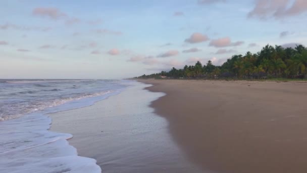 Olas Una Playa Arenosa Del Mar Caribe Atardecer — Vídeo de stock