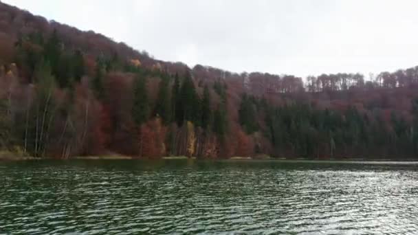 Lago Santa Ana Durante Fondo Otoño Rumania Bajo Nivel Vuelo — Vídeos de Stock