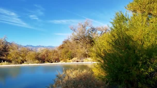 Panorama Das Zonas Húmidas Nevada Corn Creek Wildlife Refuge — Vídeo de Stock