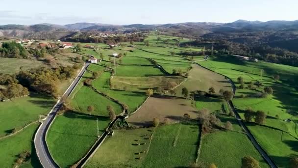 Luchtfoto Van Drone Naderen Landelijk Dorp Tussen Bos Boerenland Het — Stockvideo