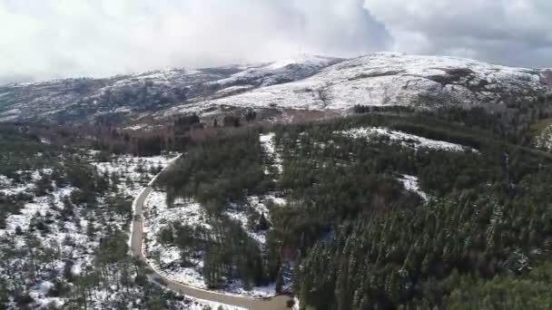 山の中で息をのむような自然の風景 凍結森林 空中ビューの松の森の山 季節の旅行白い凍結自然の牧歌的な 雪の山 — ストック動画