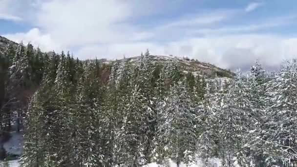 Drone Onthult Een Heuvel Bedekt Met Sneeuw Een Bos Onthullen — Stockvideo