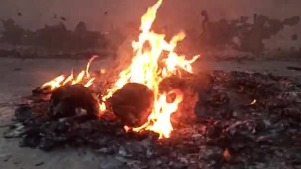 Großaufnahme Feuer Brennt Nachts Draußen Auf Terrassendach — Stockvideo